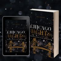 Chicago lights 3 3D